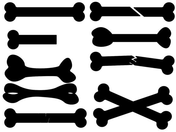 Bone Collection: A Complete Digital Asset Guide