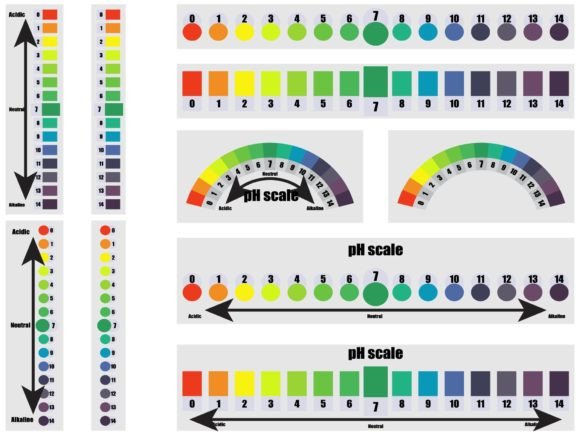 Mastering the PH Meter Test Collection: A Guide for Designers and Creators